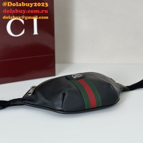 TOP Gucci Ophidia Small Belt Bag 839106