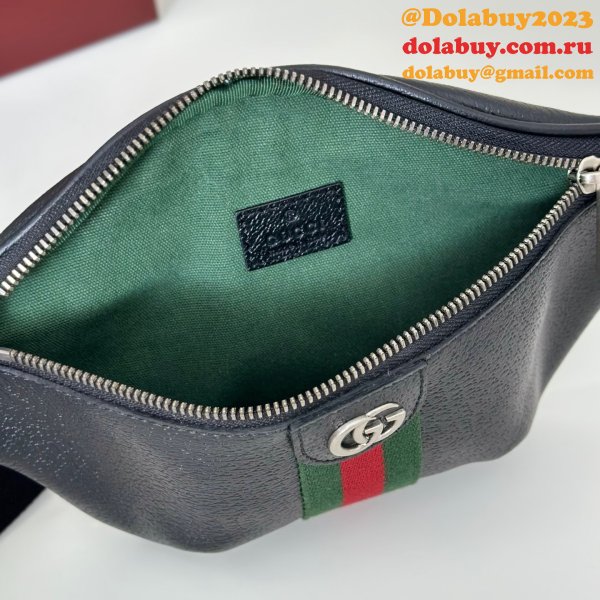 TOP Gucci Ophidia Small Belt Bag 839106